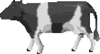 cow
