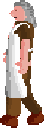 Fairy Shopkeeper