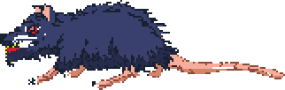 Rat