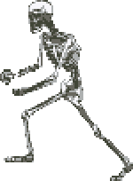 skeleton mage