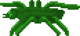 Jungle Spider