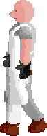 Observatory Professor