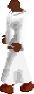 Bedabin Nomad