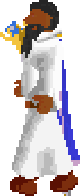 Battle mage