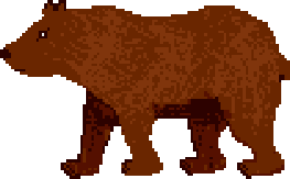 Bear